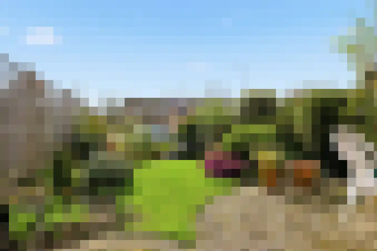 Loenense Beek 15 Zaandam thumbnail 16