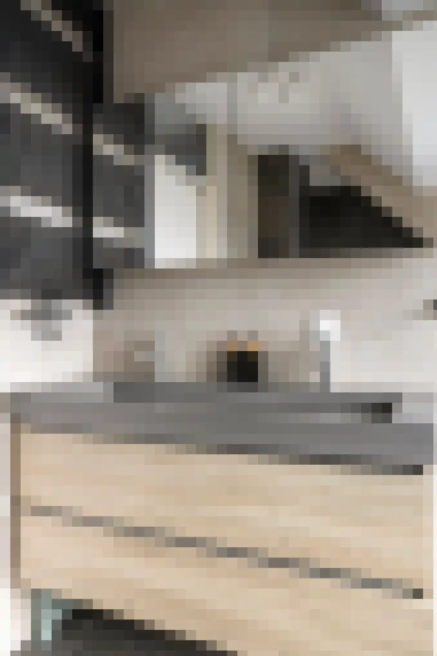 Loenense beek 23 Tilburg thumbnail 30