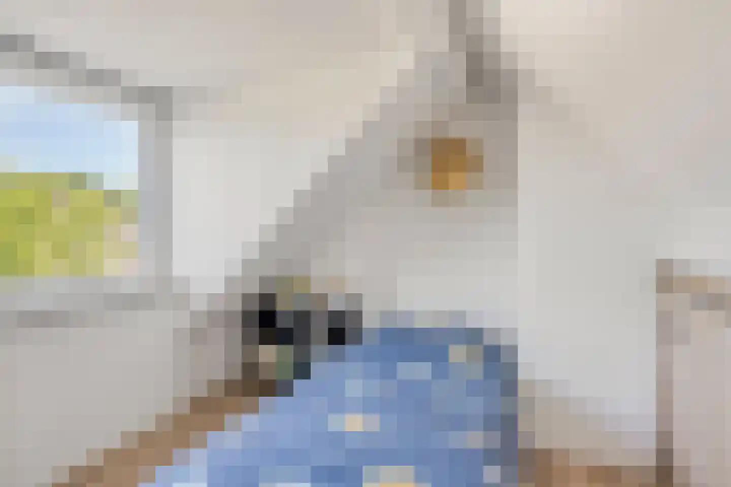 Loenense beek 23 Tilburg thumbnail 39