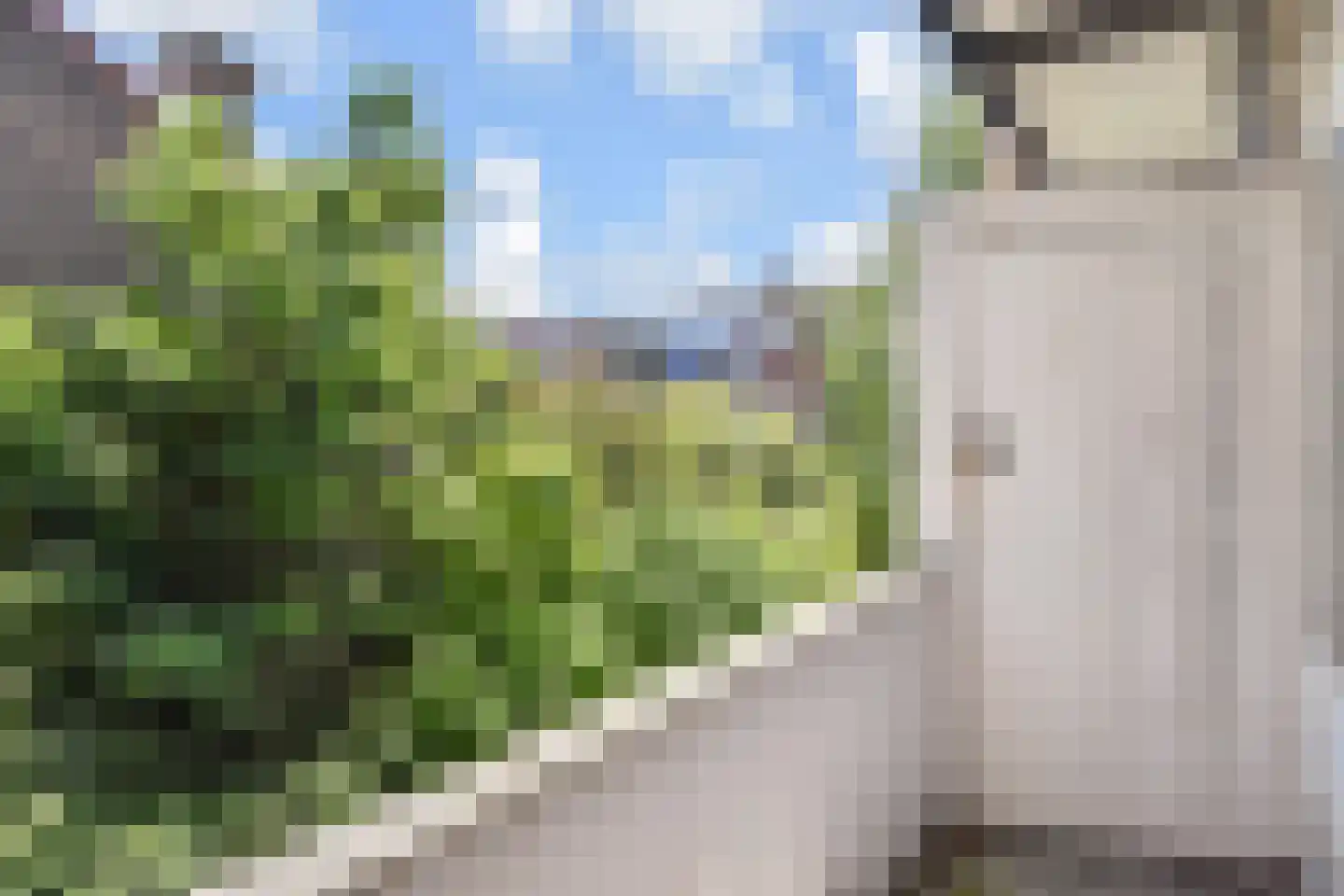 Loenenseplein 24 Den Haag thumbnail 43