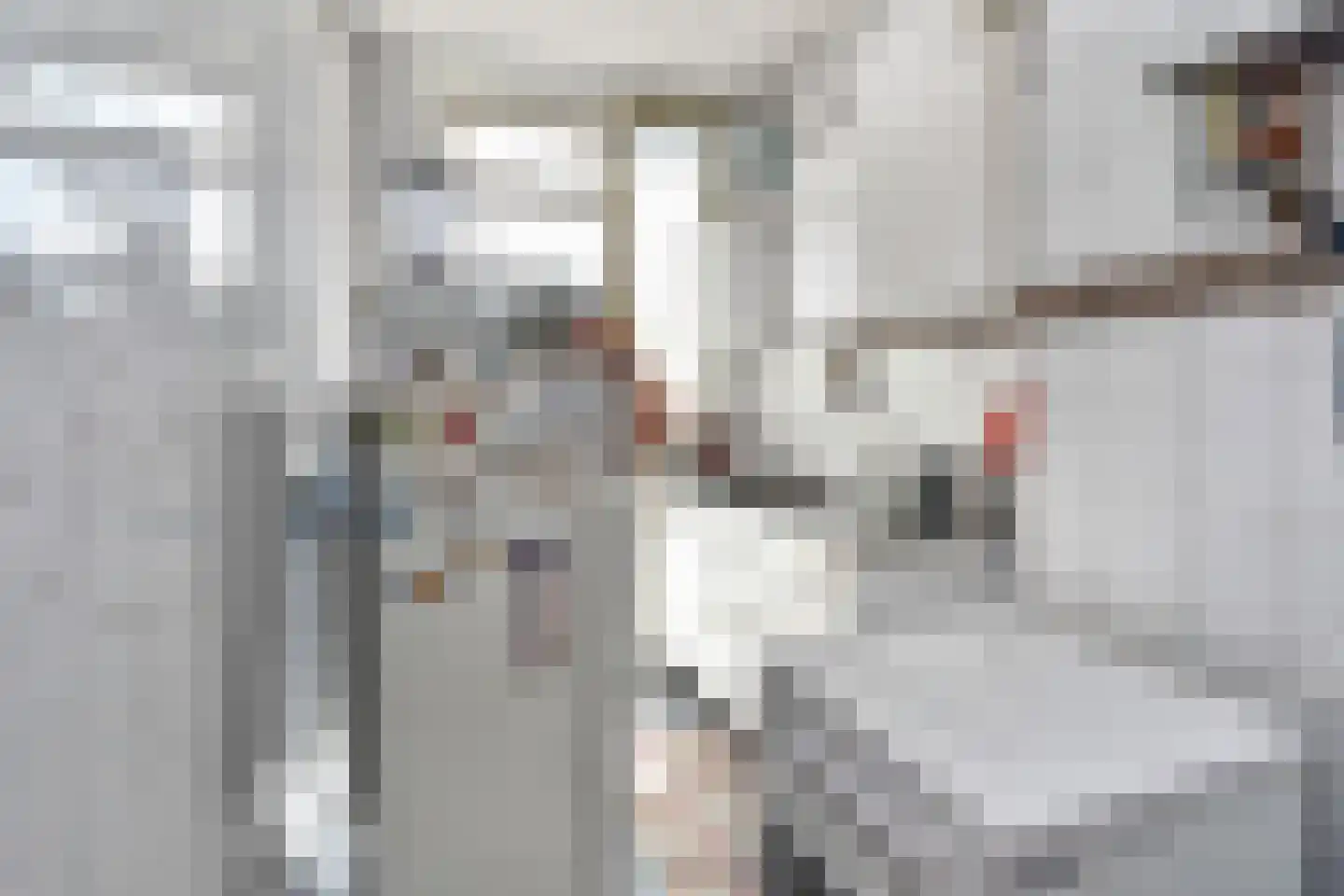 Loenenseplein 24 Den Haag thumbnail 69