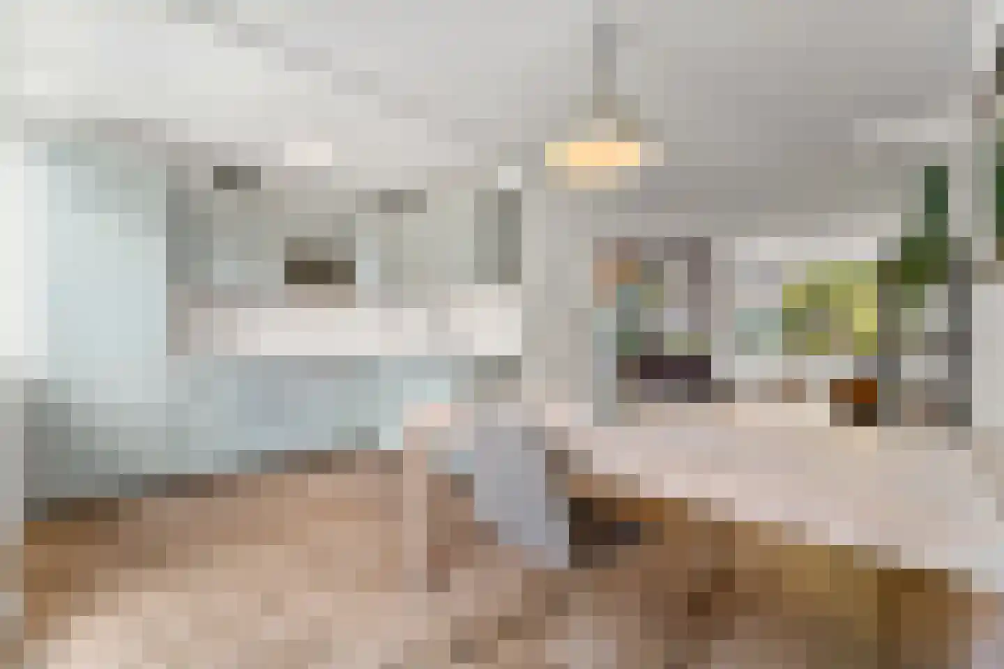 Loenensestraat 102 Den Haag thumbnail 5