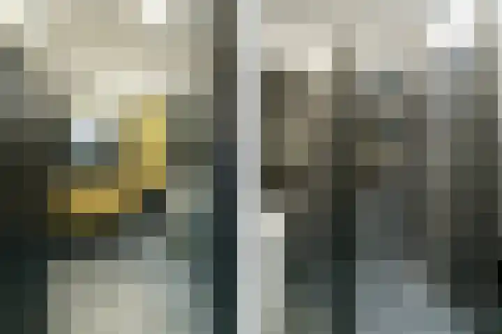 Loenensestraat 121 Den Haag thumbnail 17