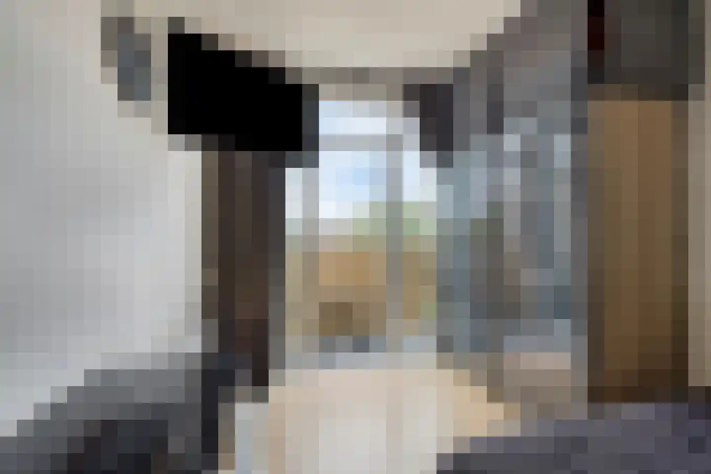 Loenensestraat 15 Den Haag thumbnail 16
