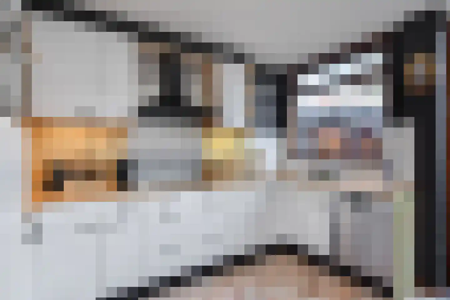 Loenensestraat 35 Den Haag thumbnail 15