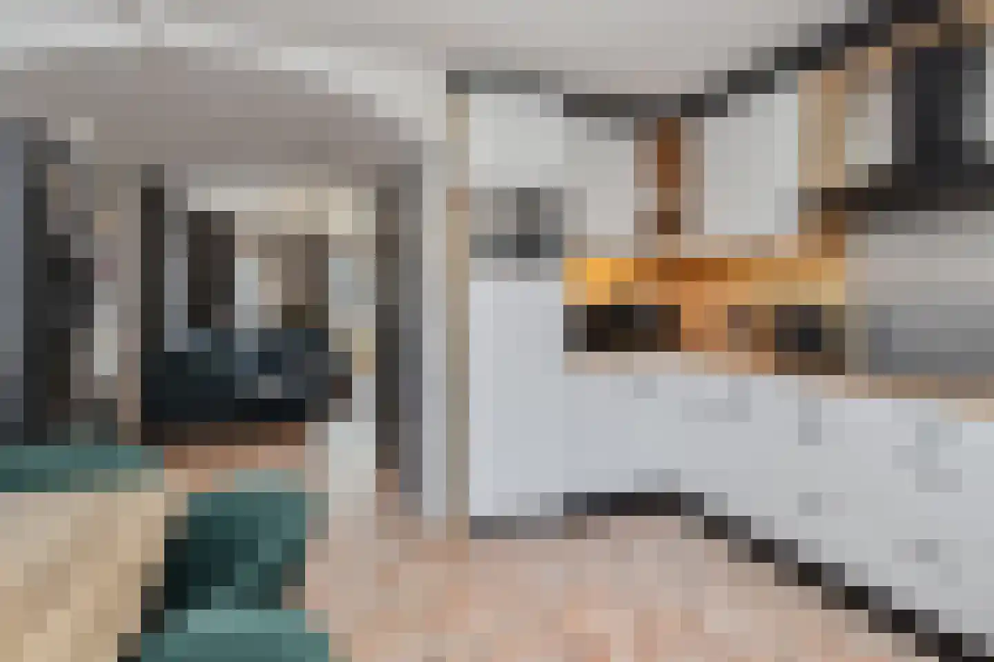 Loenensestraat 35 Den Haag thumbnail 17