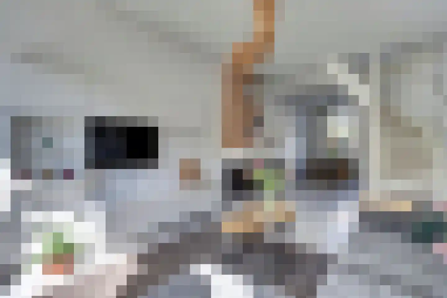 Loenensestraat 85 Den Haag thumbnail 8