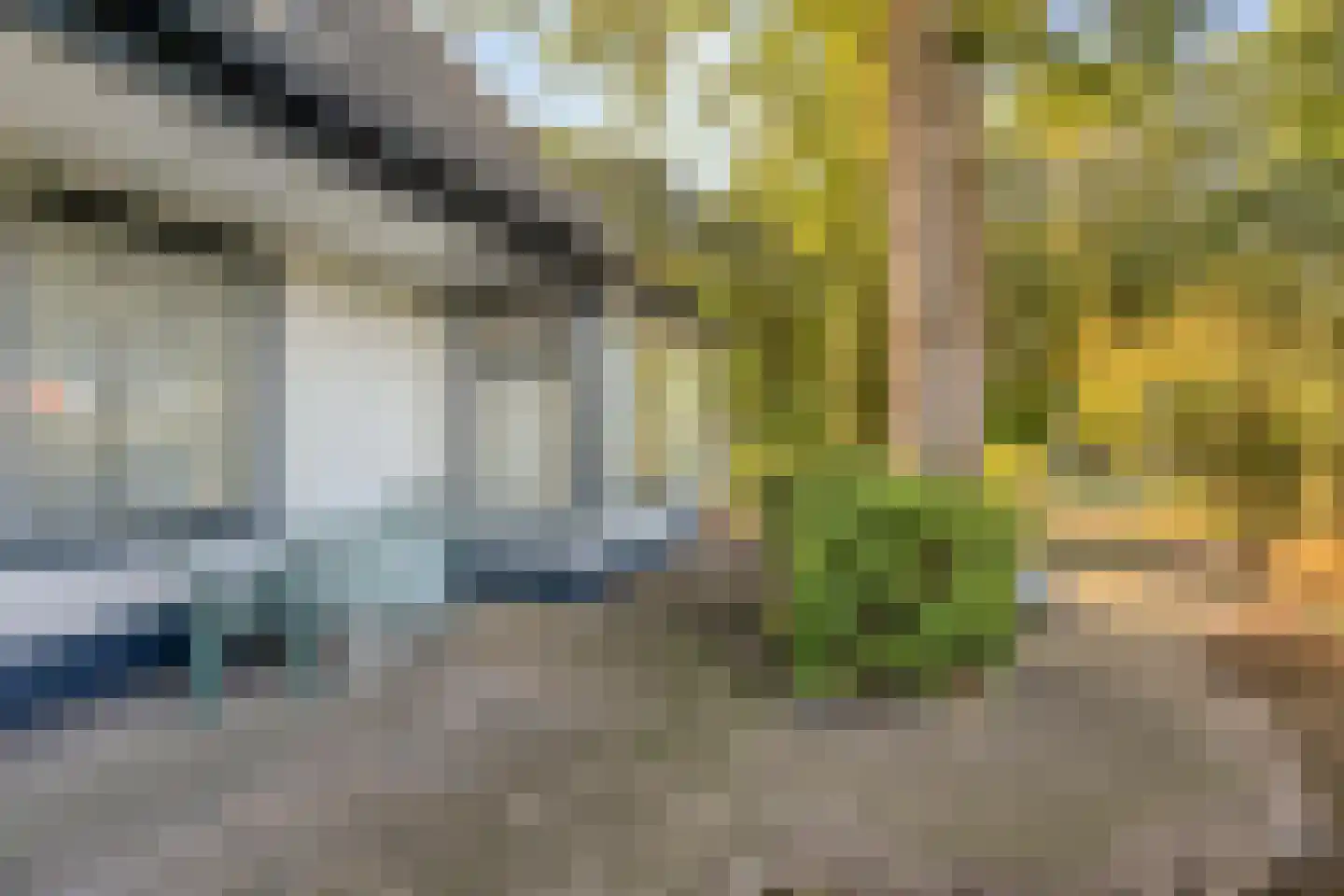 Loenenseweg 150 Eerbeek thumbnail 49
