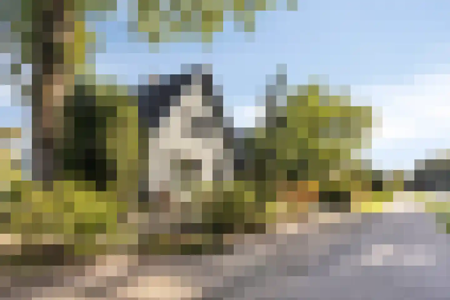 Loenenseweg 150 Eerbeek thumbnail 6