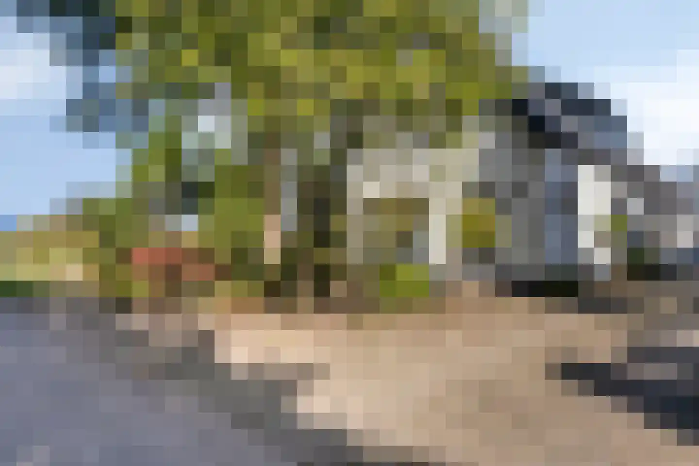 Loenenseweg 150 Eerbeek thumbnail 7