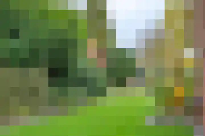 Loenenseweg 89 Eerbeek thumbnail 37