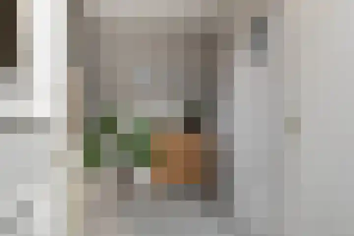 Loenerdrift 134 Loenen thumbnail 11