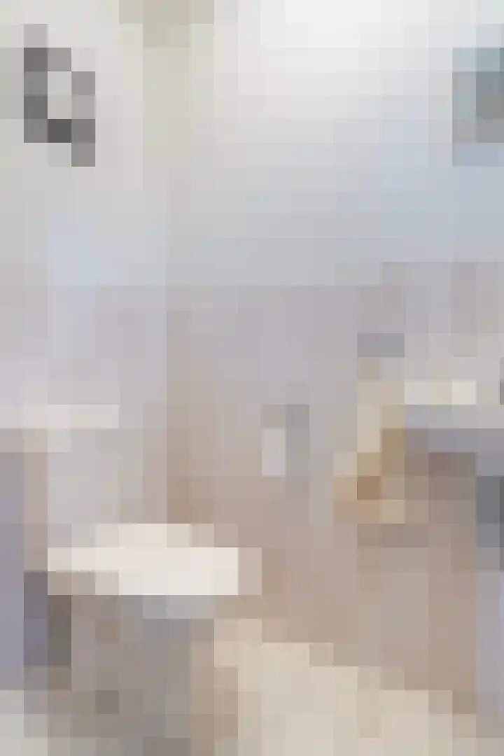 Loenerdrift 134 Loenen thumbnail 13
