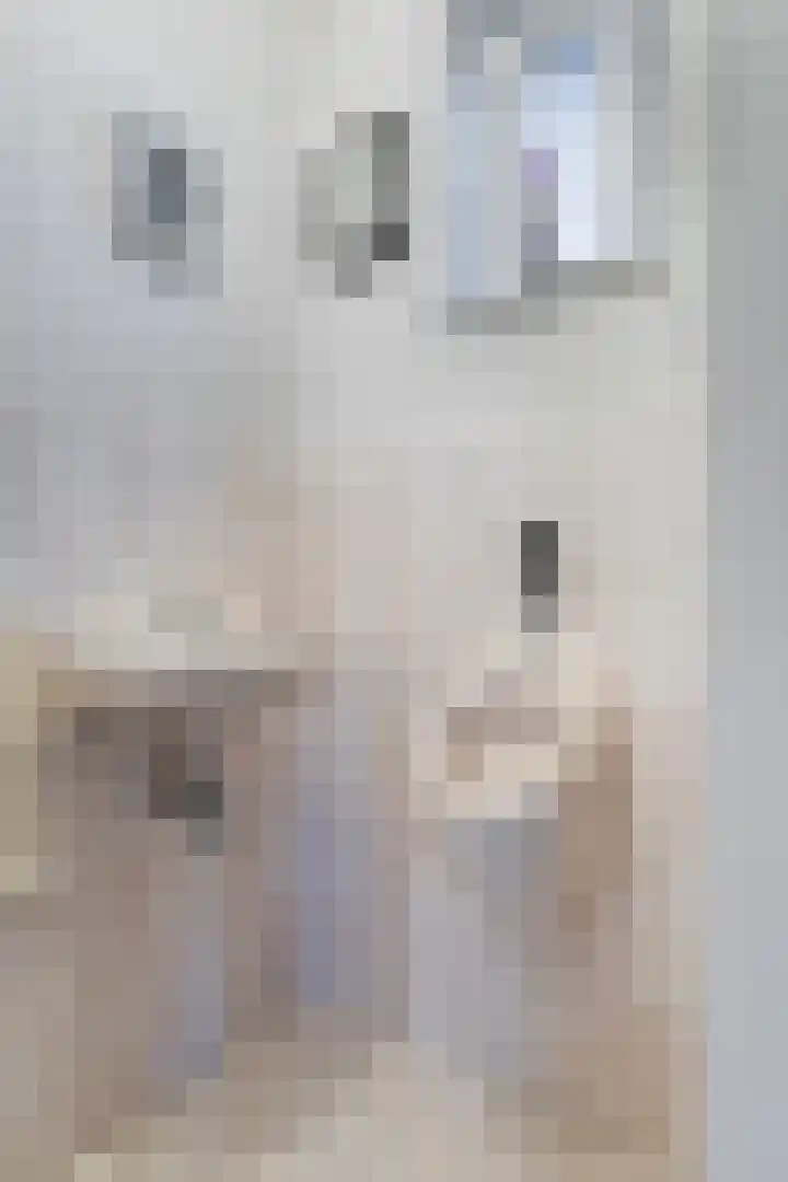 Loenerdrift 134 Loenen thumbnail 14