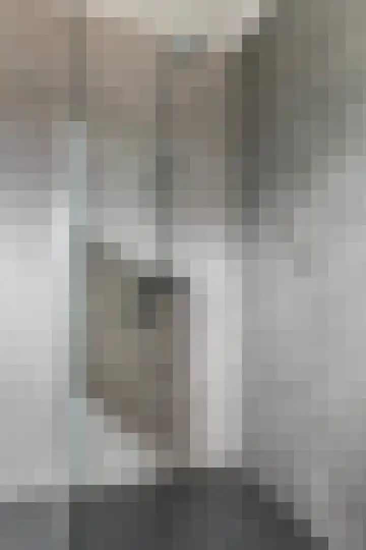 Loenerdrift 134 Loenen thumbnail 28