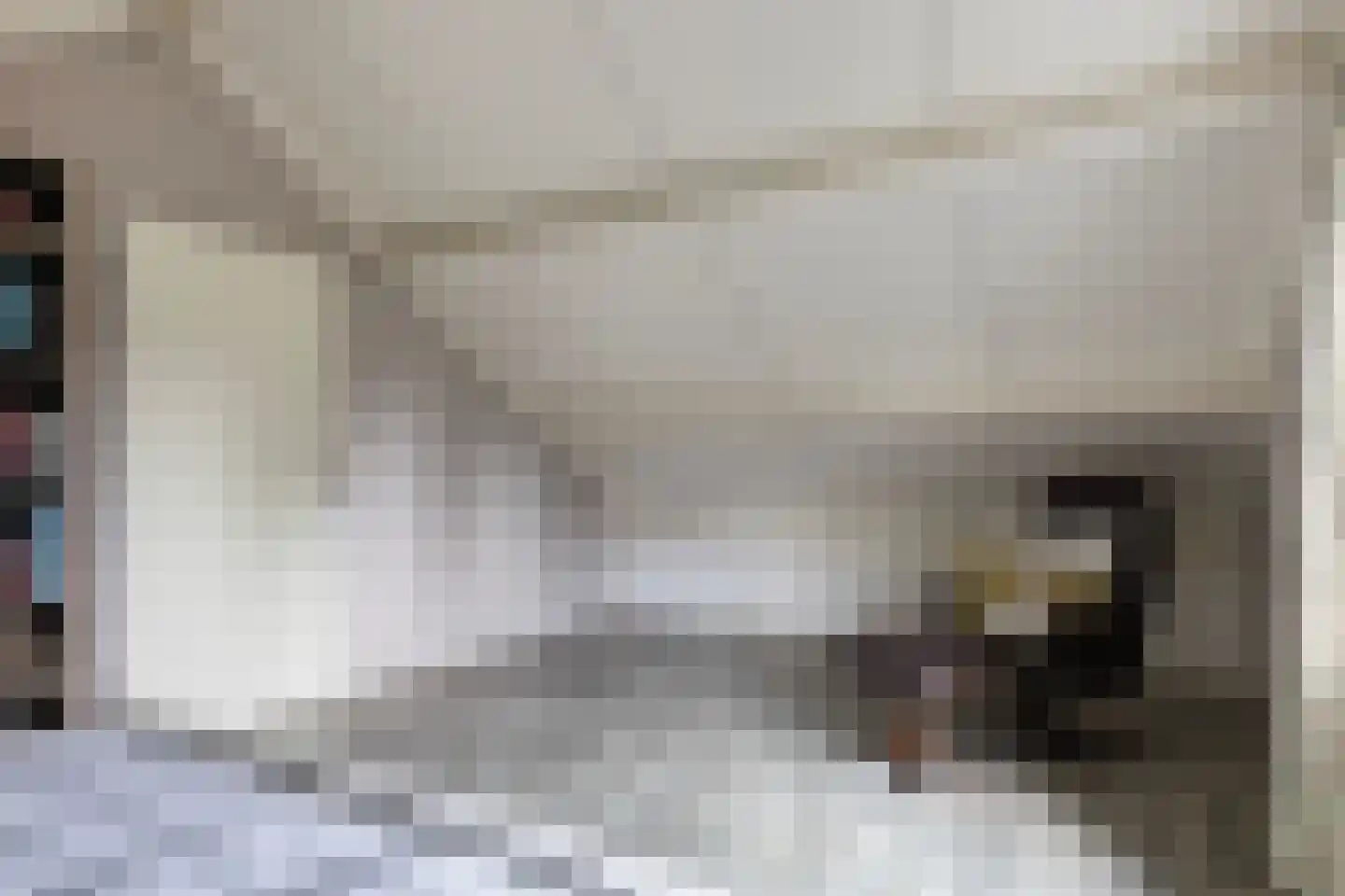 Loenerdrift 134 Loenen thumbnail 32