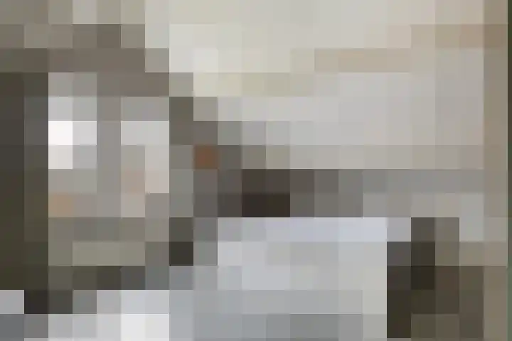Loenerdrift 134 Loenen thumbnail 36