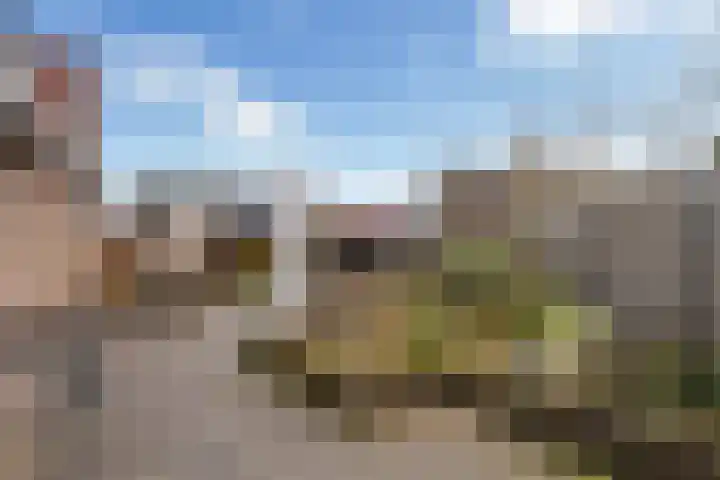 Loenerdrift 134 Loenen thumbnail 41