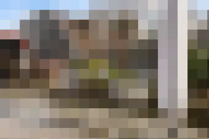 Loenerdrift 134 Loenen thumbnail 42