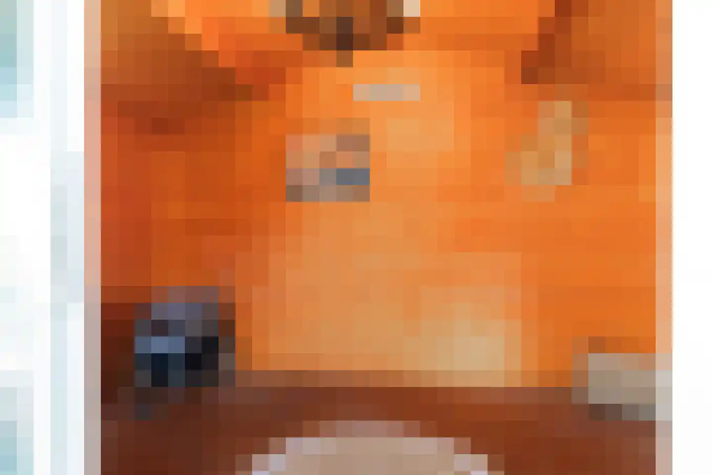 Loenerdrift 134 Loenen thumbnail 46