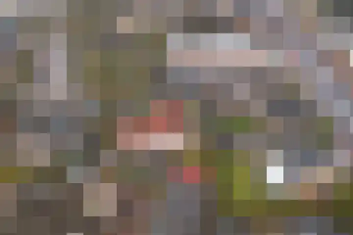 Loenerdrift 134 Loenen thumbnail 6