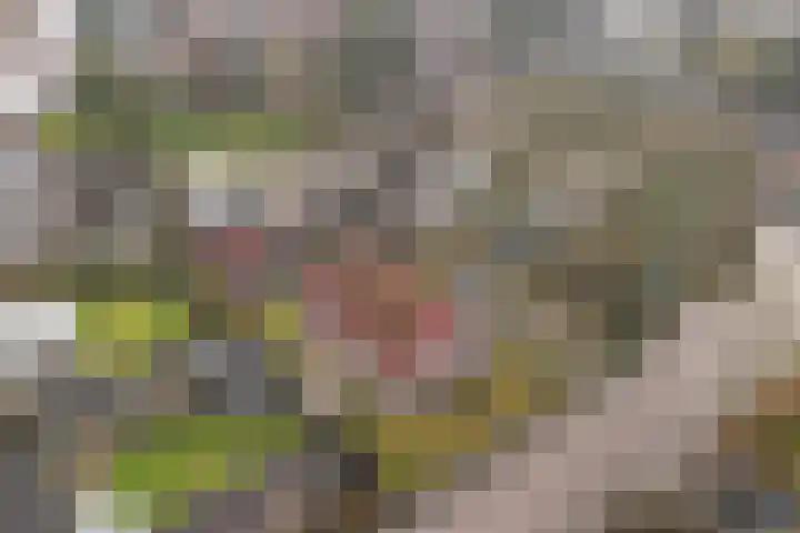 Loenerdrift 134 Loenen thumbnail 7