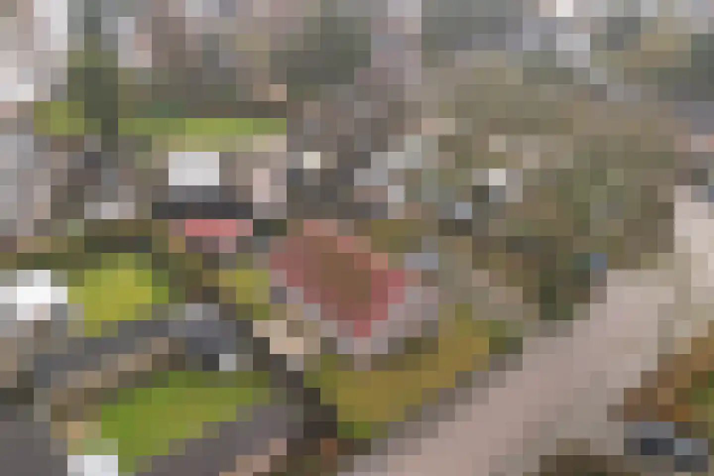 Loenerdrift 134 Loenen thumbnail 7