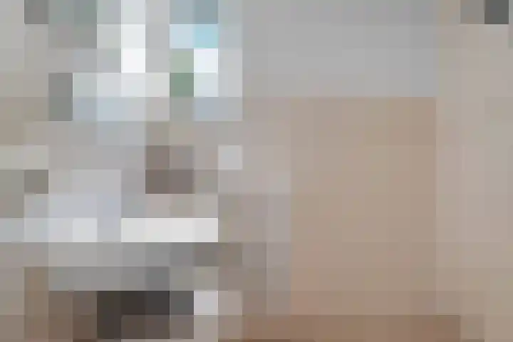 Loenerdrift 21 Loenen thumbnail 26