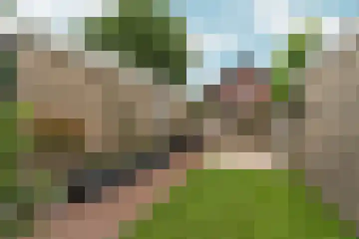 Loenerdrift 21 Loenen thumbnail 39