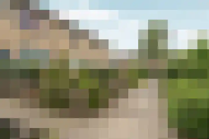 Loenerdrift 21 Loenen thumbnail 43