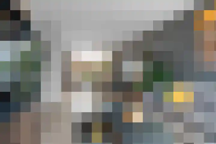 Loenerdrift 21 Loenen thumbnail 6