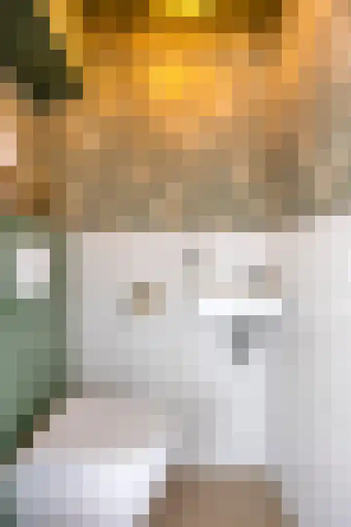 Loenerdrift 61 Loenen thumbnail 11