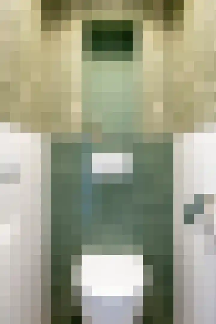 Loenerdrift 61 Loenen thumbnail 13