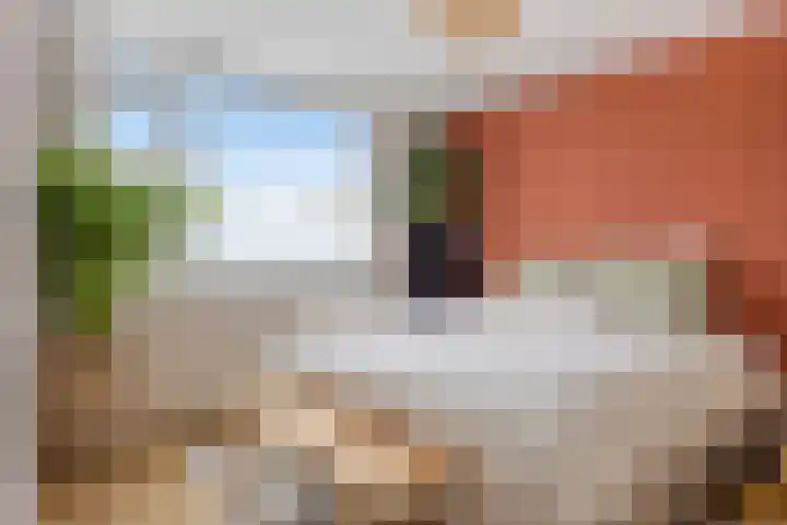 Loenerdrift 61 Loenen thumbnail 14
