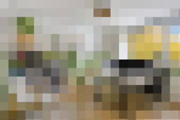 Loenerdrift 61 Loenen thumbnail 20