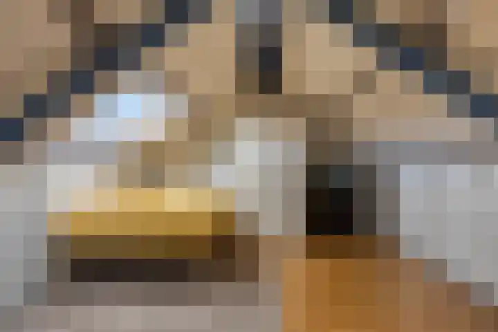 Loenerdrift 61 Loenen thumbnail 22