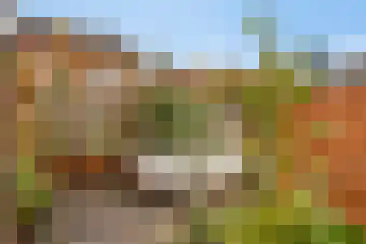 Loenerdrift 61 Loenen thumbnail 24