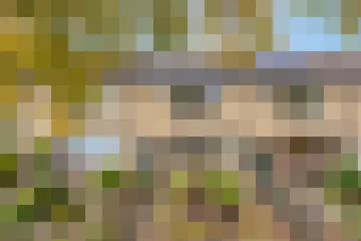 Loenerdrift 61 Loenen thumbnail 29