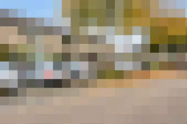 Loenerdrift 61 Loenen thumbnail 30