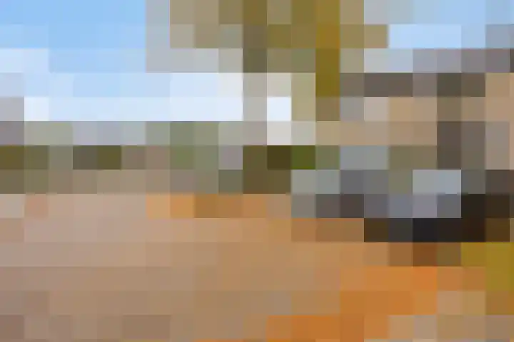 Loenerdrift 61 Loenen thumbnail 31