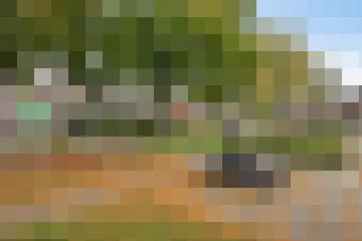 Loenerdrift 61 Loenen thumbnail 32