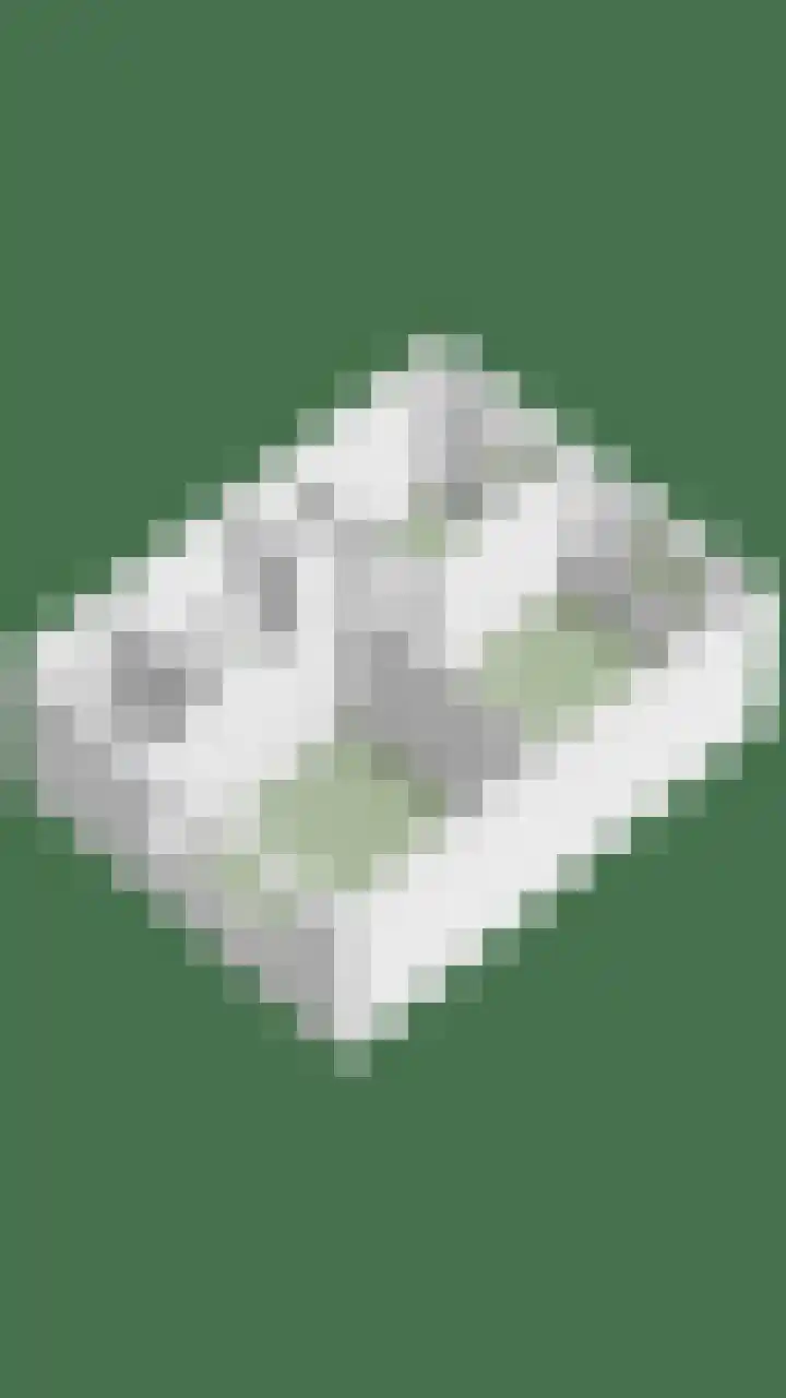 Loenerdrift 61 Loenen thumbnail 36
