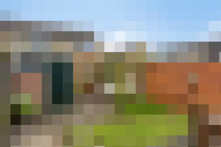 Loenerdrift 61 Loenen thumbnail 4