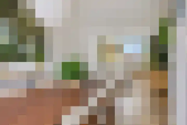 Loenerdrift 61 Loenen thumbnail 7