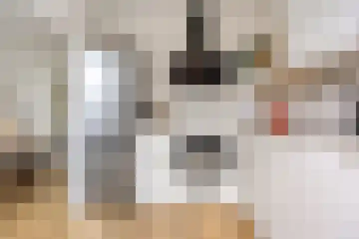 Loenerdrift 61 Loenen thumbnail 8