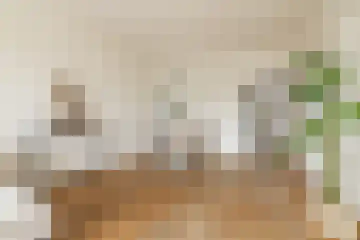Loenermark 103 Amsterdam thumbnail 12