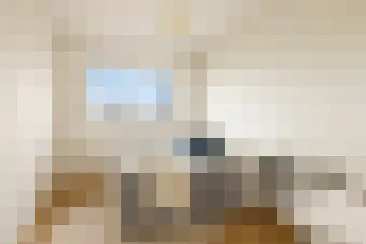 Loenermark 103 Amsterdam thumbnail 17