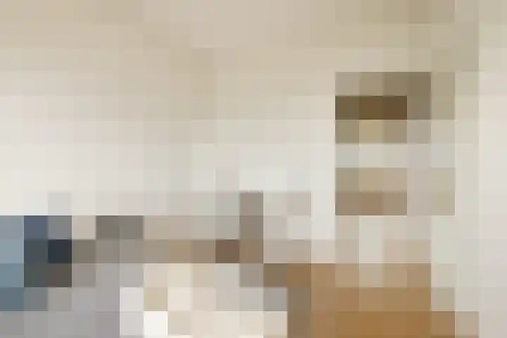 Loenermark 103 Amsterdam thumbnail 19
