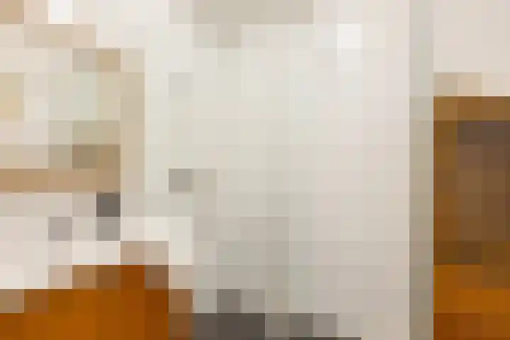 Loenermark 103 Amsterdam thumbnail 20