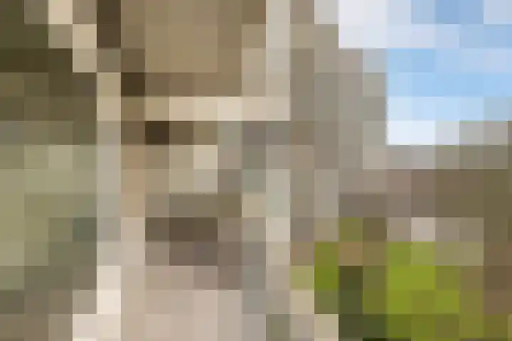 Loenermark 103 Amsterdam thumbnail 7